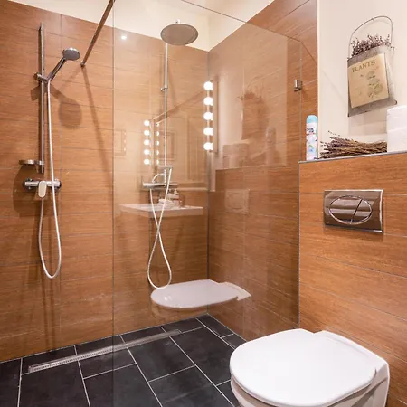 Apartment Paulay Deluxe 2 *